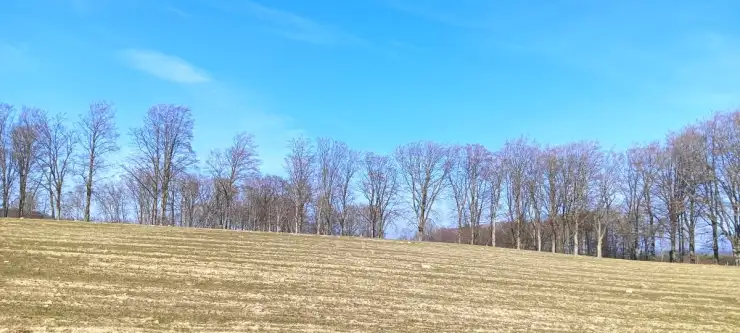 Gościcino ,  Cyprysowa   16