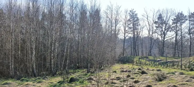 Gościcino ,  Cyprysowa   2