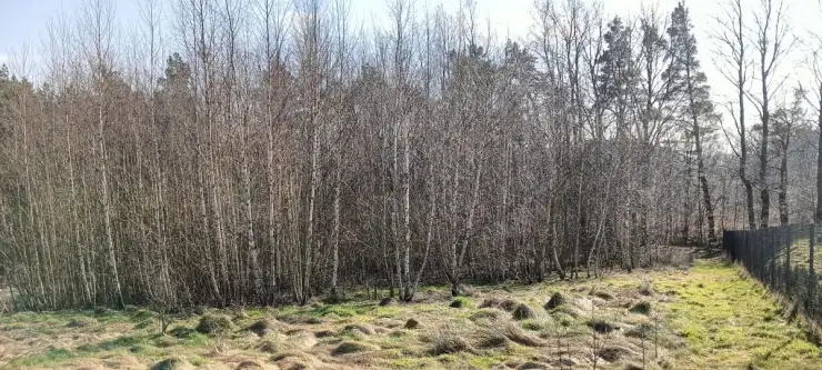 Gościcino ,  Cyprysowa   4