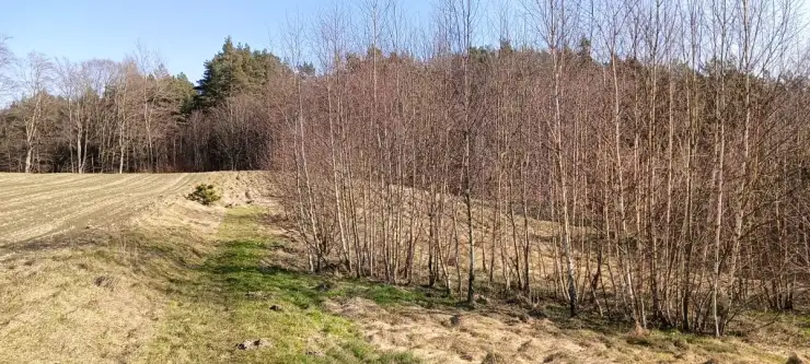 Gościcino ,  Cyprysowa   5