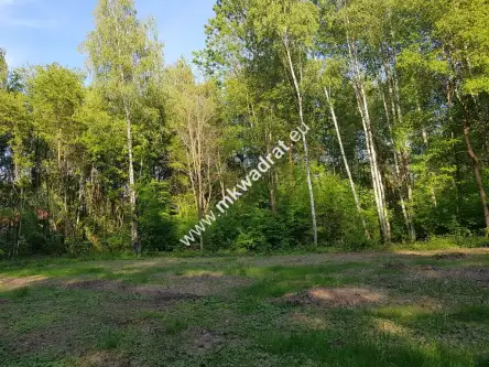 Podkowa leśna ,  www.mkwadrat.eu   3