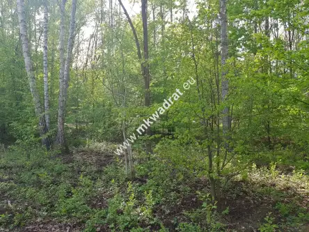 Podkowa leśna ,  www.mkwadrat.eu   6