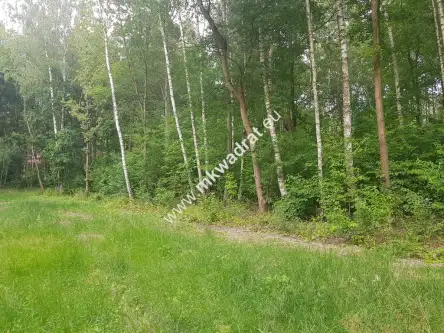 Podkowa leśna ,  www.mkwadrat.eu   7