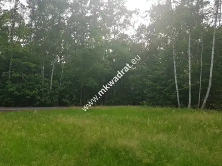 Podkowa leśna ,  www.mkwadrat.eu   8