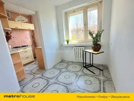 Ruda śląska ,  Lecha   8