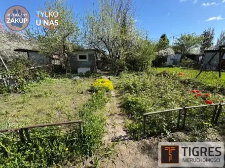  Gdańsk   Franciszka Hynka 