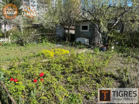 Gdańsk ,  Franciszka Hynka   2