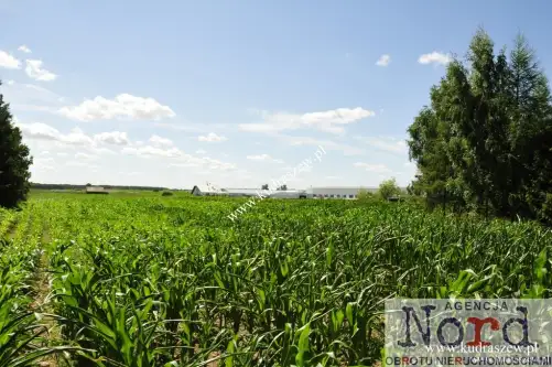 Augustów ,  Rajgrodzka   3