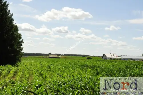 Augustów ,  Rajgrodzka   4