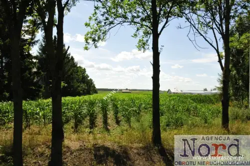 Augustów ,  Rajgrodzka   5