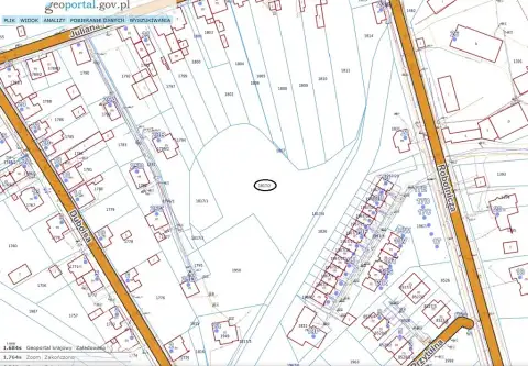 Dąbrowa górnicza ,  Juliana Polcera   4