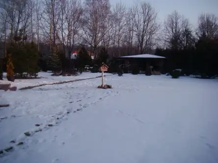 Kanie ,  Tulipanowa   2