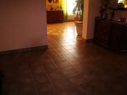 Kanie ,  Tulipanowa   3