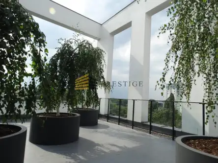 Warszawa ,  Dzielna   10