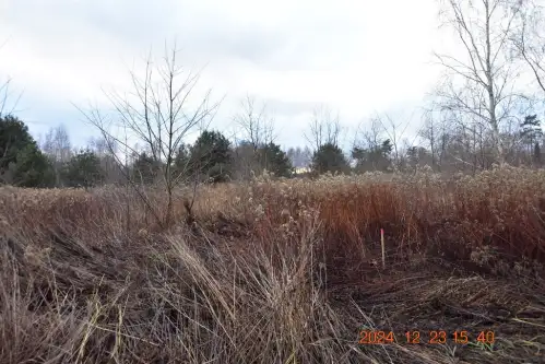 Syców ,  Henryka Pobożnego   2