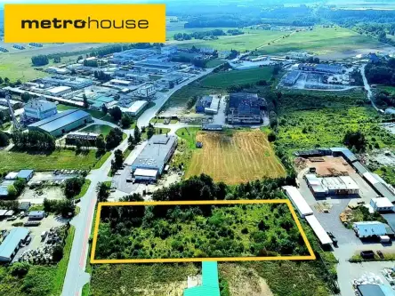  Sępólno krajeńskie  