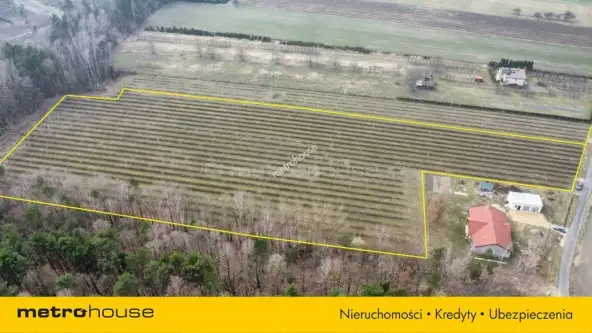 Powązki ,  Dębowa   8