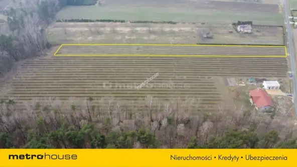 Powązki ,  Dębowa   2