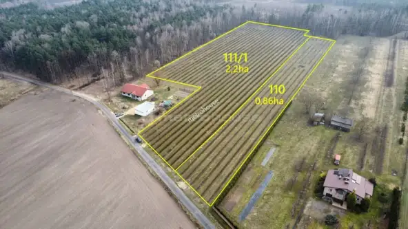 Powązki ,  Dębowa   3