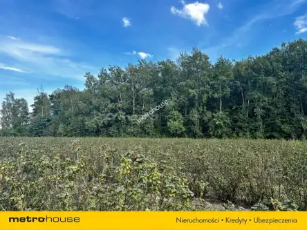 Powązki ,  Dębowa   5