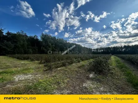 Powązki ,  Dębowa   6