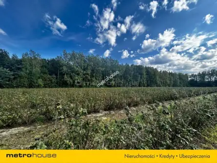 Powązki ,  Dębowa   7