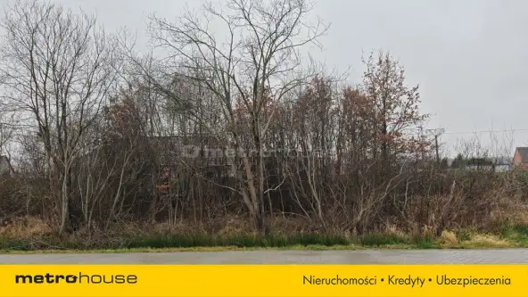 Grabno ,  Wojewódzka   7