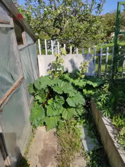 Gdańsk ,  Roberta Schumana   2