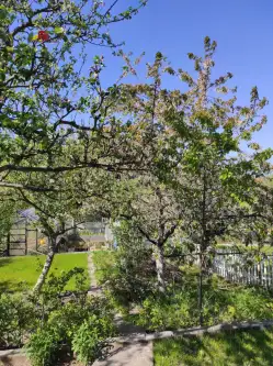 Gdańsk ,  Roberta Schumana   3