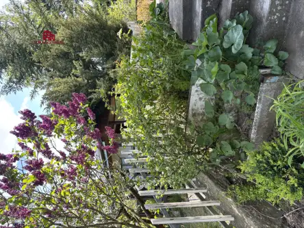 Gdańsk ,  Roberta Schumana   6