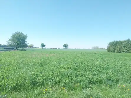 Witaszyce ,  Zakrzewska   2