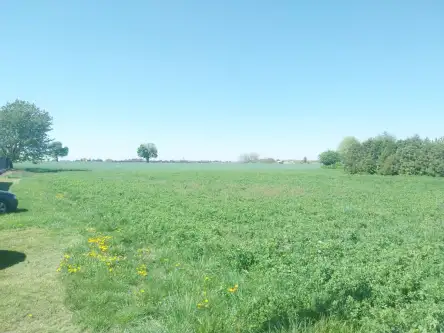 Witaszyce ,  Zakrzewska   8