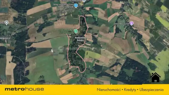 Radostów średni   7