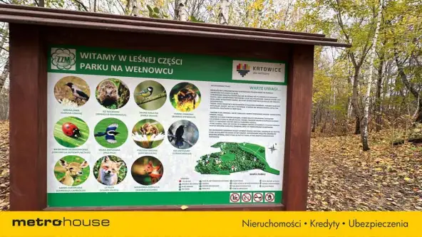 Katowice ,  Korfantego   25