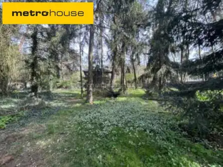  Sokolniki-las   Kasprowicza 