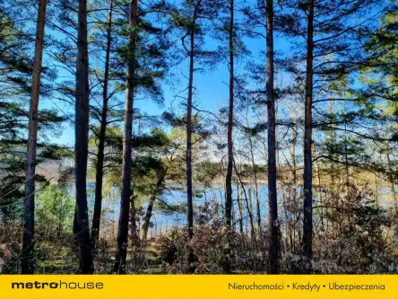 Borkowo ,  Kartuska   8