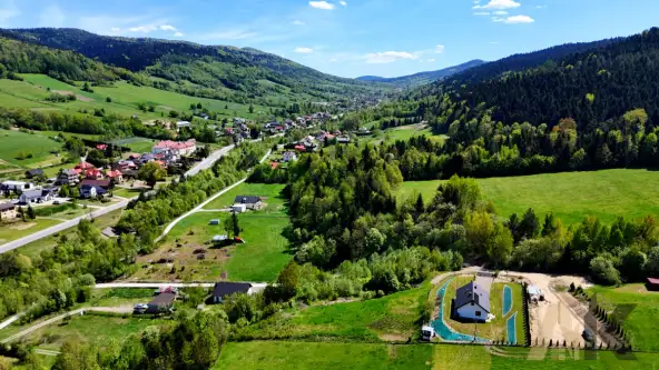 Królowa górna   19