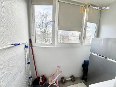 Lubin ,  Księcia Ludwika I   11