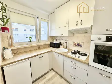 Lubin ,  Księcia Ludwika I   3