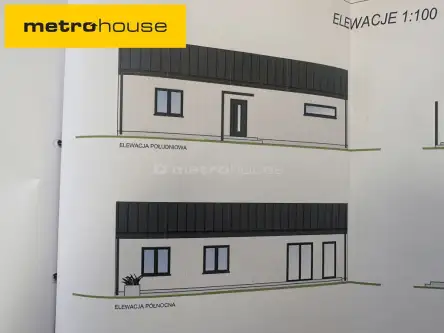  Ortel królewski pierwszy  