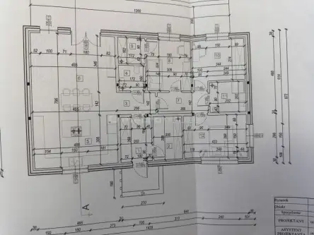 Ortel królewski pierwszy   2