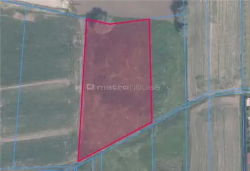 Piotrkowice małe   2