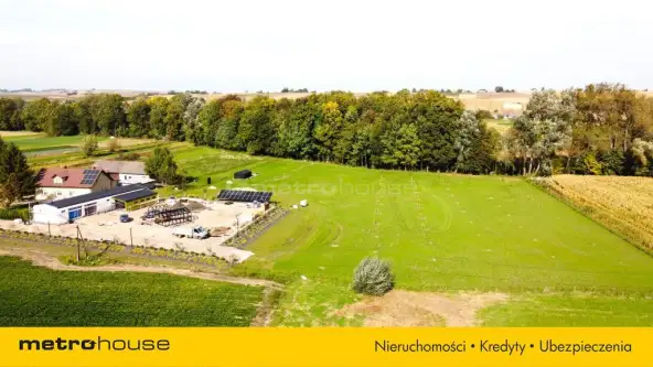 Piotrkowice małe   3