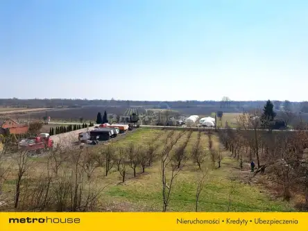 Zawichost ,  Podgórze   6