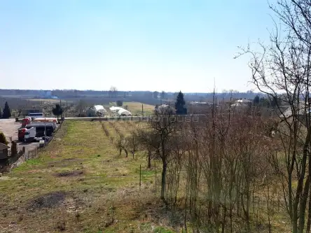 Zawichost ,  Podgórze   7