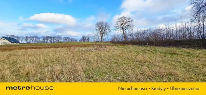 Starzyński dwór ,  Jagodowa   10