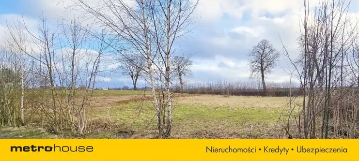 Starzyński dwór ,  Jagodowa   2