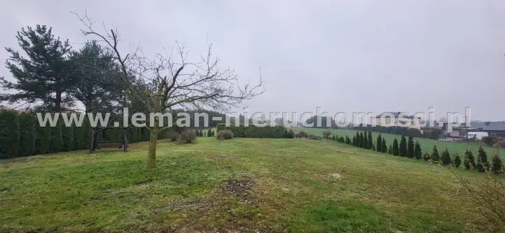 Trawniki-kolonia   18