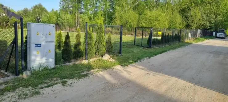 łoś ,  Bażancia   2