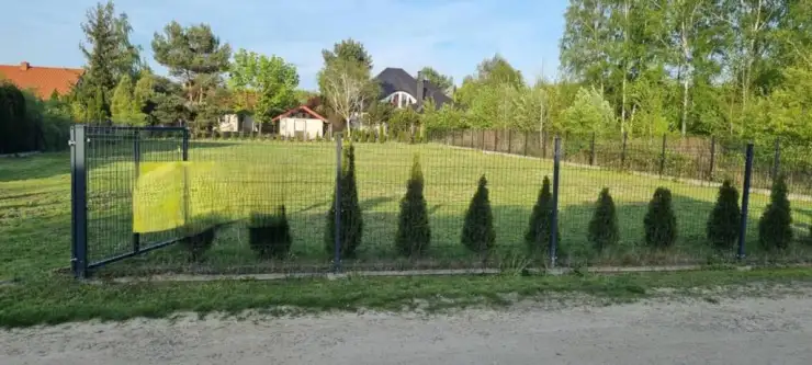 łoś ,  Bażancia   4